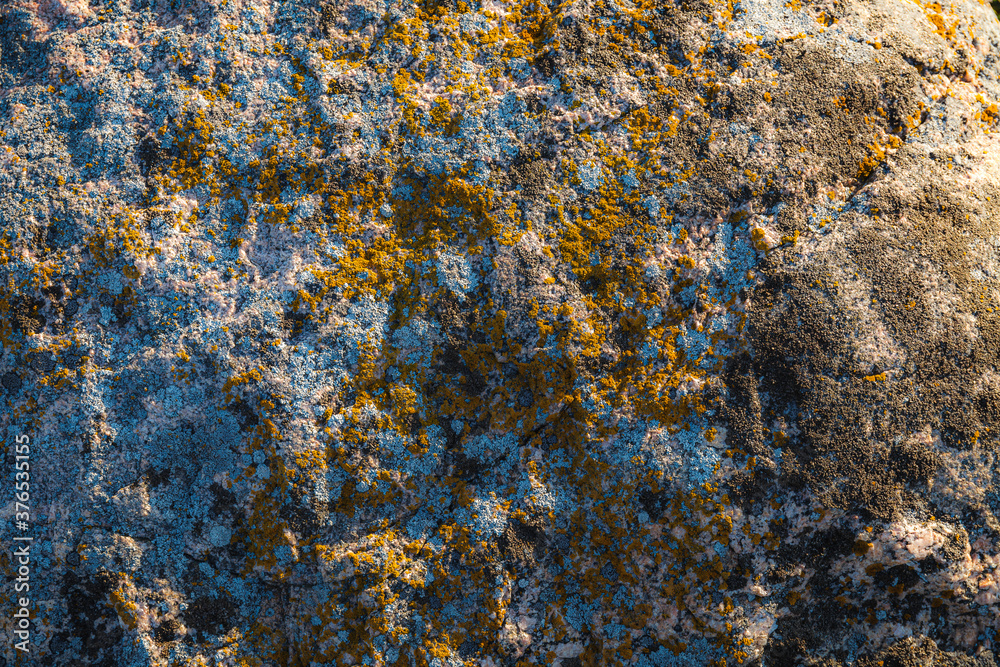 Natural beautiful patterns / Lichen on stones Natural beautiful patterns / Lichen on stones