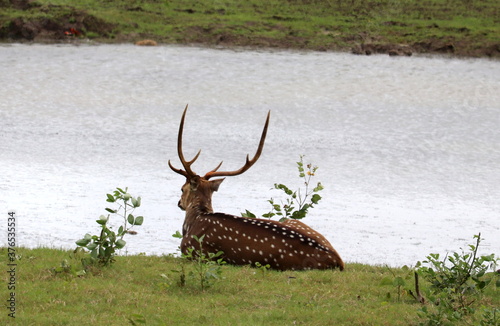 Just chilling out by the lake photo