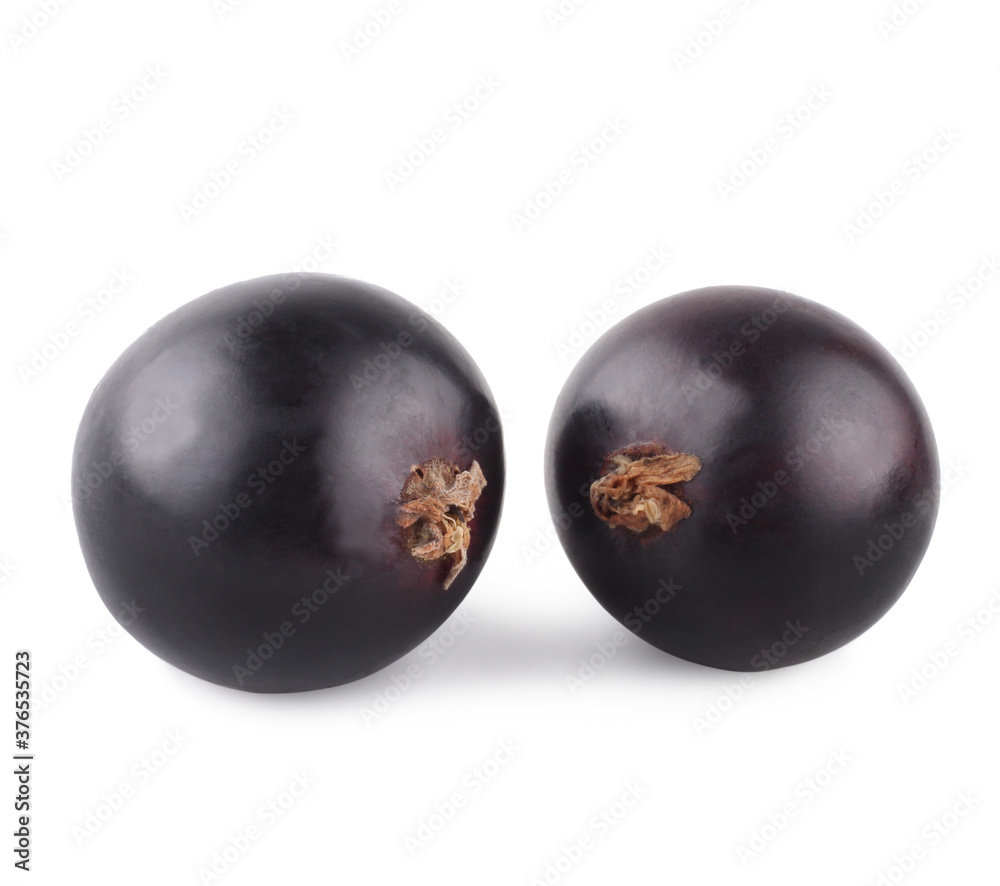 Currant berries isolated on white background Currant berries isolated on white background