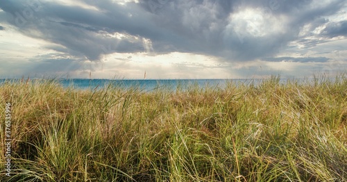 panorama shot of the Baltic Sea beach with dune grass