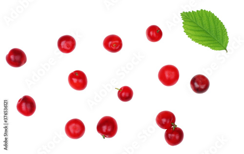 Felted cherry with leaves isolated on a white background