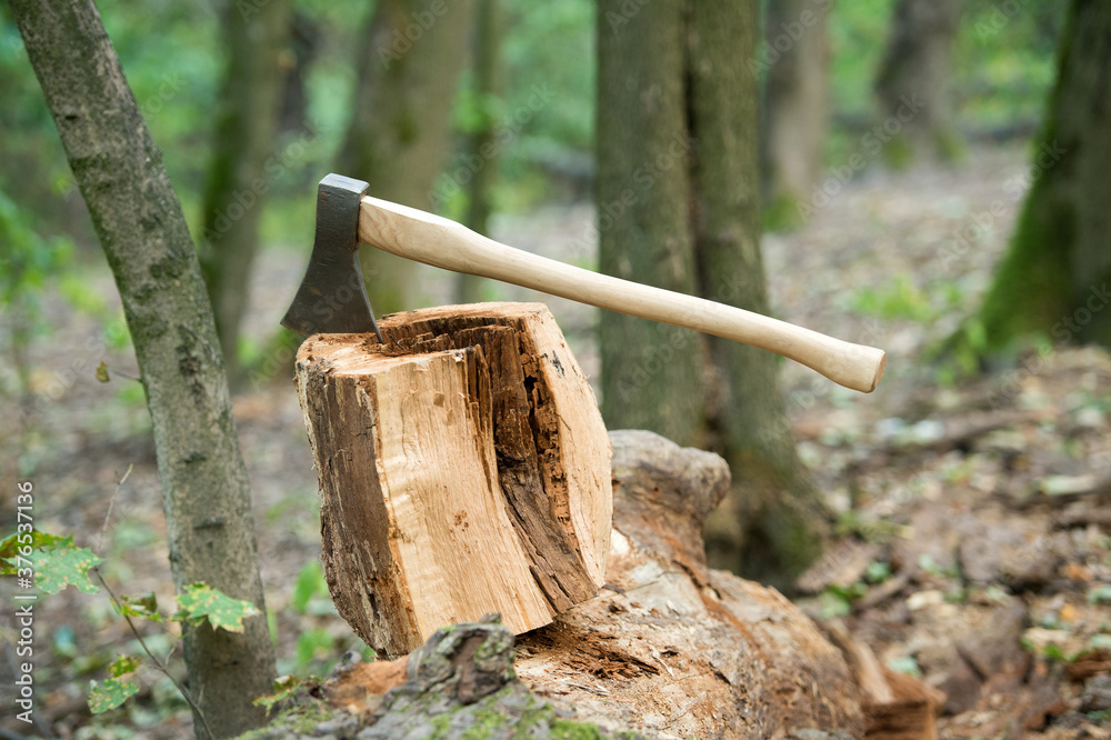 Split and cut. Large axe in stump. Splitting axe on natural landscape. Lumbermans equipment