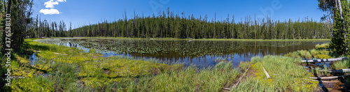 Lily Pad Lake in Yellowstone National Park