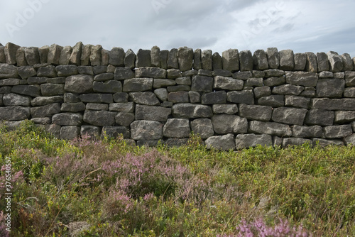 6 - Wider angle texture scene of peak district plants and stone wall