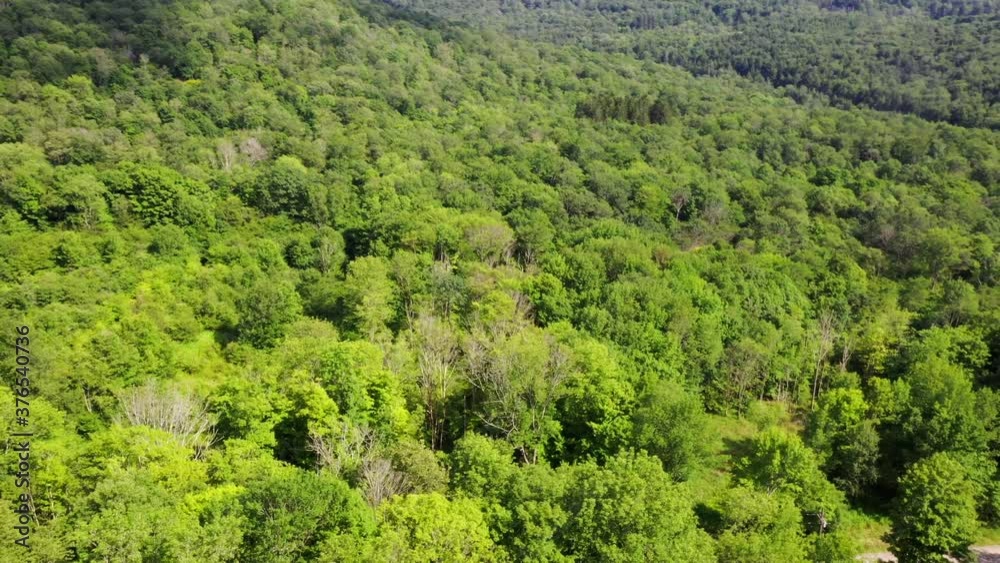 Scenic Aerial View of the Valley in the Mountain Forest of the Catskills Scenic Aerial View of the Valley in the Mountain Forest of the Catskills