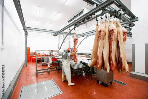 Fotografie Back view of a group of worker in meat factory, chopped a fresh beef meat in pieces on work table, industry food