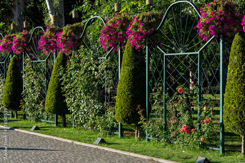 Φωτογραφία alley in park of stone tiles along a backyard landscape with arborvitae and climbing roses on an iron fence in a garden with plants lit by sun light, nobody