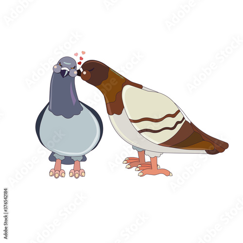 Brown and white male pigeon is kissing female one on white isolated background, vector stock illustration in Cartoon style, concept of Wildlife, Birds, Love and Togetherness, Symbols of Peace.