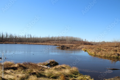 October On The Beaver Pond, Elk Island National Park, Alberta