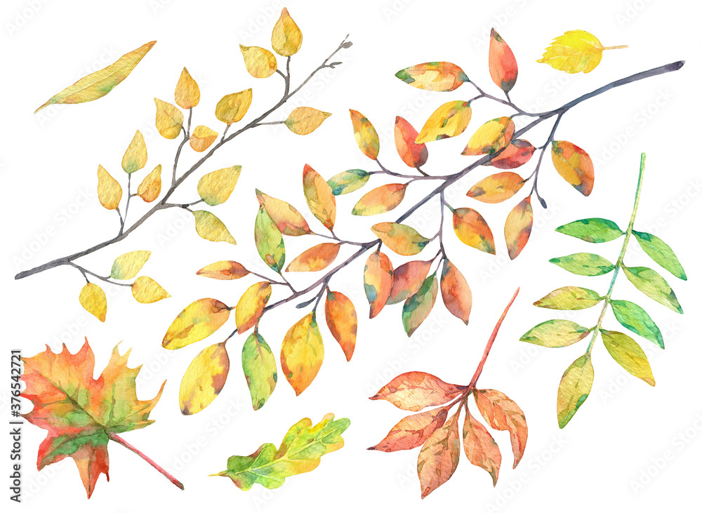 Watercolor set with autumn leaves and branches. Watercolor set with autumn leaves and branches.