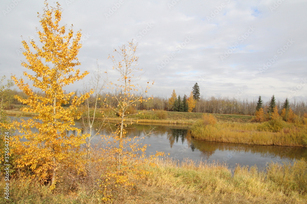 Autumn On The Wetlands, Pylypow Wetlands, Edmonton, Alberta Autumn On The Wetlands, Pylypow Wetlands, Edmonton, Alberta
