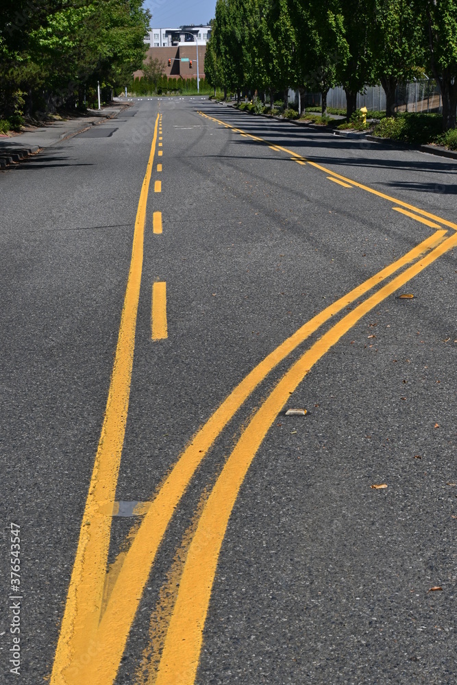 asphalt road with yellow lines