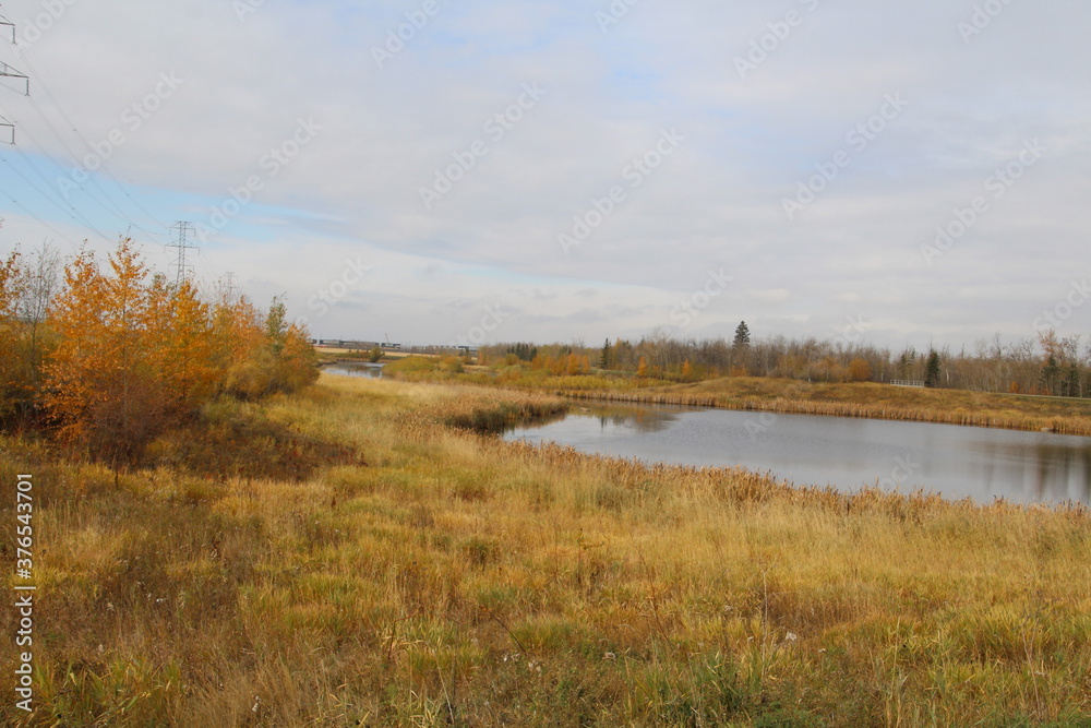 Early October On The Wetlands, Pylypow Wetlands, Edmonton, Alberta