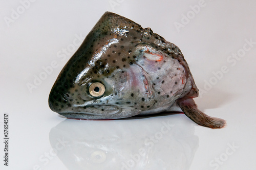 severed fish head. trout head. butchering fish