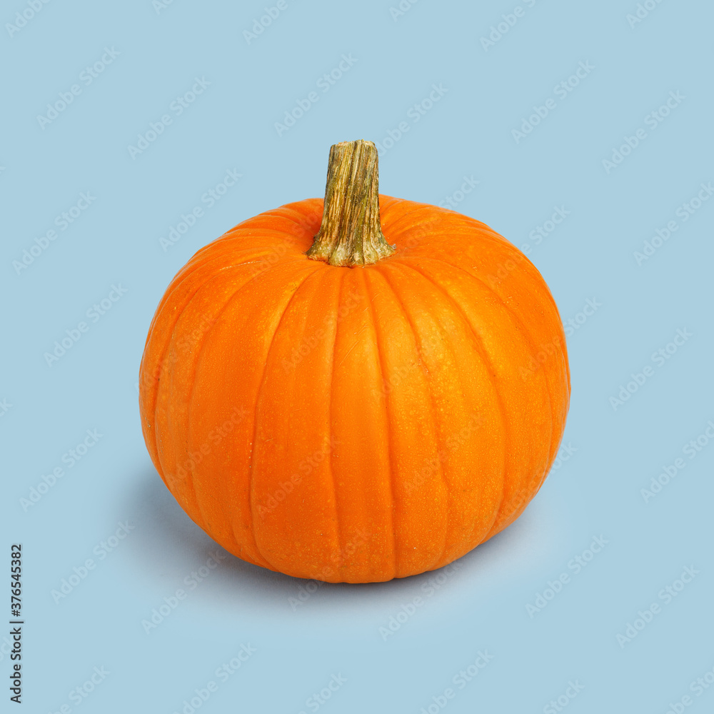 Obraz premium Halloween pumpkin on a blue background. Halloween holiday concept