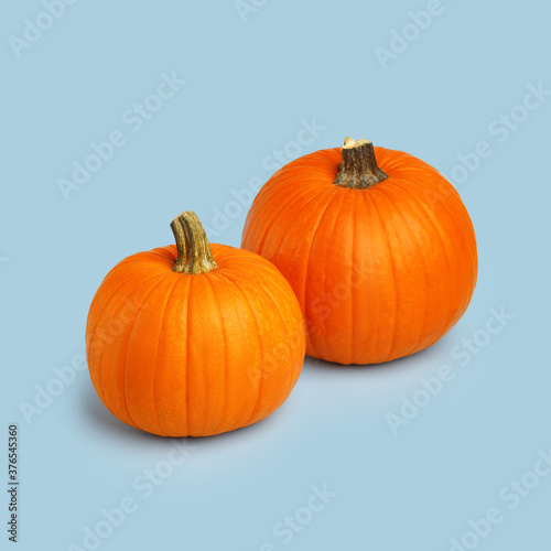 Halloween pumpkin on a blue background. Halloween holiday concept