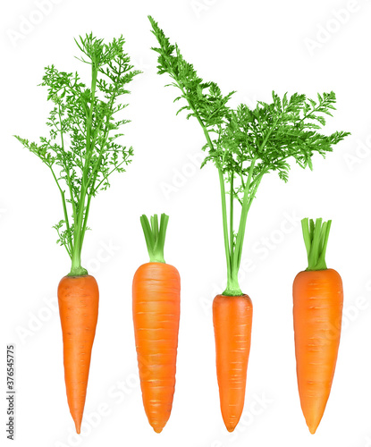 Carrot isolated on white background with clipping path and full depth of field. Top view. Flat lay