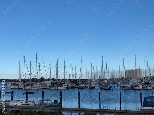 boats in the harbor