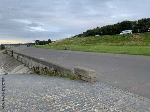 road in the park