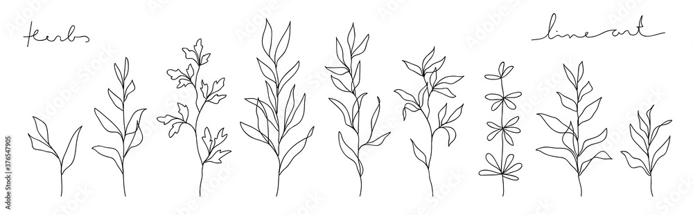 Herb line art collection. Abstract leaves continuous line drawing set. Herb line art collection. Abstract leaves continuous line drawing set.