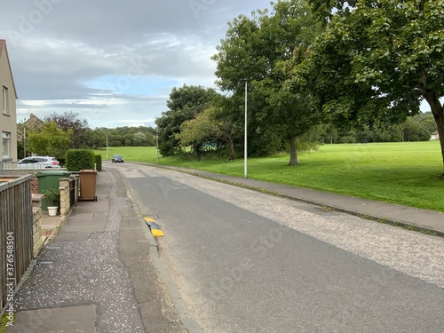 road in the park