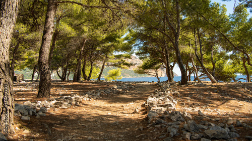 Calanques - Wald (09/2020)