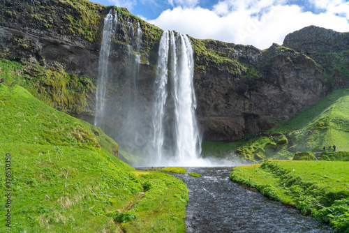 Fototapeta Naklejka Na Ścianę i Meble -  Svartifoss waterfall in Iceland