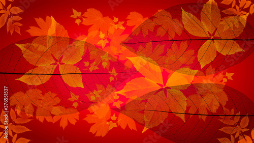 Abstract texture with autumn yellow leaves. Background	