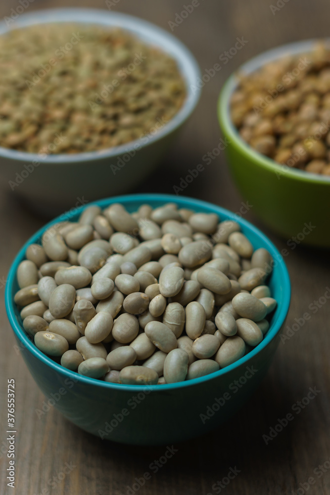 porotos en pocillo y otros pocillos de fondo con garbanzos y lentejas porotos en pocillo y otros pocillos de fondo con garbanzos y lentejas