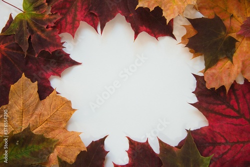 Autumn composition-vintage banner with autumn leaves on a white background. Autumn foliage. frame with space for copying. Background of the autumn season.