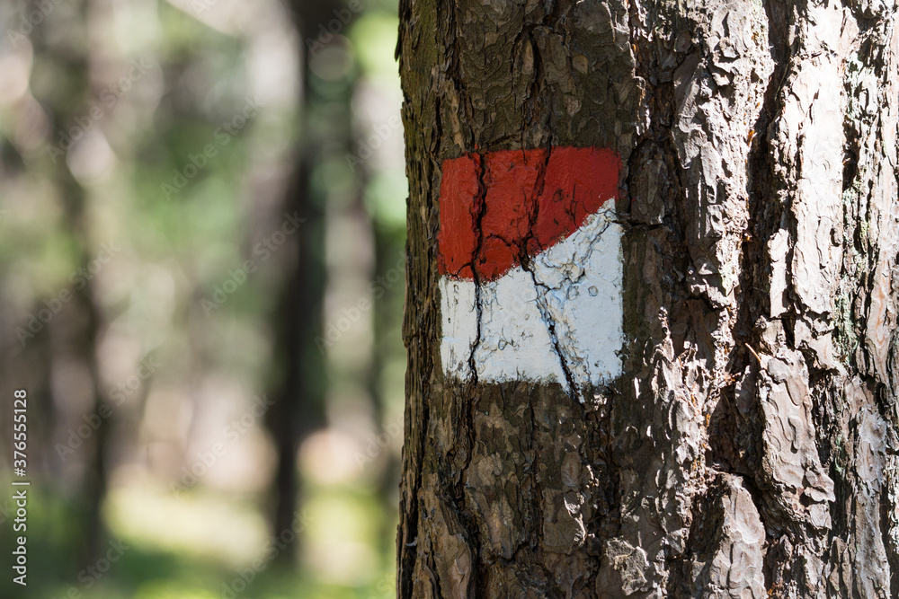Naklejka premium hiking sign in the beatiful landscape of the pfälzer wald wood hills, rheinland-pfalz, germany