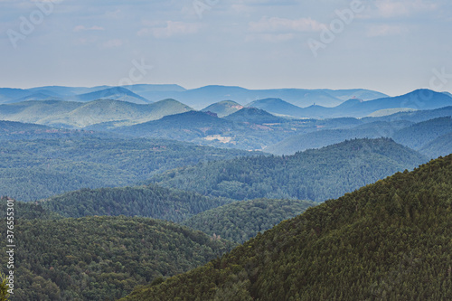 beatiful landscape of the pfälzer wald wood hills, rheinland-pfalz, germany