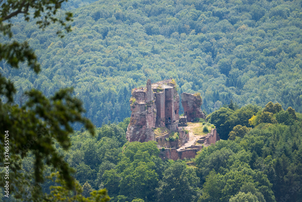 beatiful landscape of the pfälzer wald hills and the dahner rock castles, rheinland-pfalz, germany