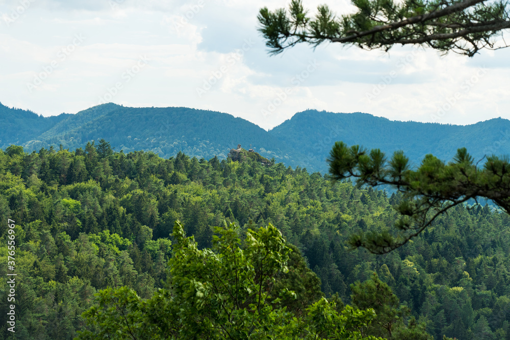 beautiful landscape in the Southwest Palatinate (südwestpfalz) near fischbach