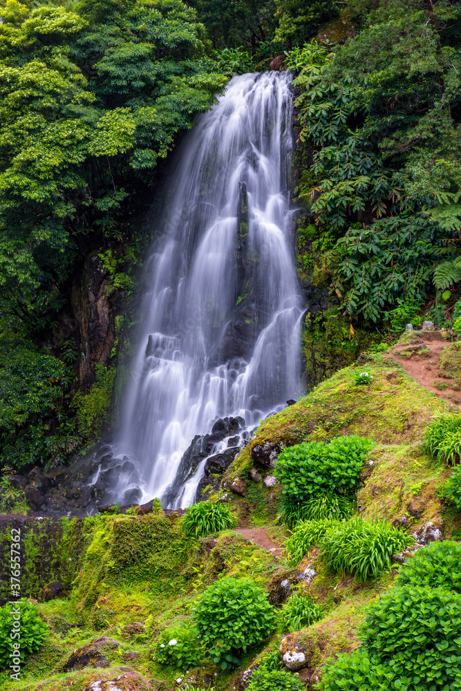 Obraz premium Waterfall at Parque Natural Da Ribeira Dos Caldeiroes, Sao Miguel, Azores, Portugal. Beautiful waterfall surrounded with hydrangeas in Ribeira dos Caldeiroes park, Sao Miguel, Azores, Portugal