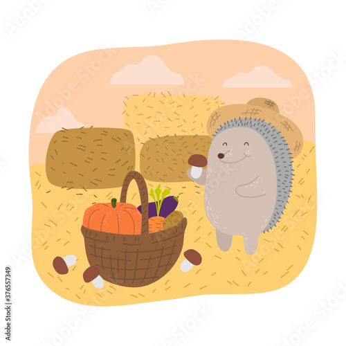 Grey hedgehog farmer picking ripe vegetables to basket during harvesting