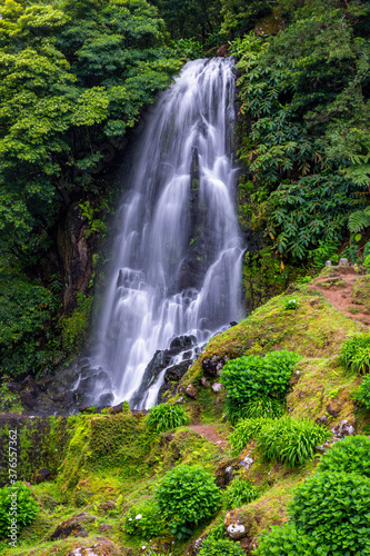 Waterfall at  Parque Natural Da Ribeira Dos Caldeiroes  Sao Miguel  Azores  Portugal. Beautiful waterfall surrounded with hydrangeas in Ribeira dos Caldeiroes park  Sao Miguel  Azores  Portugal