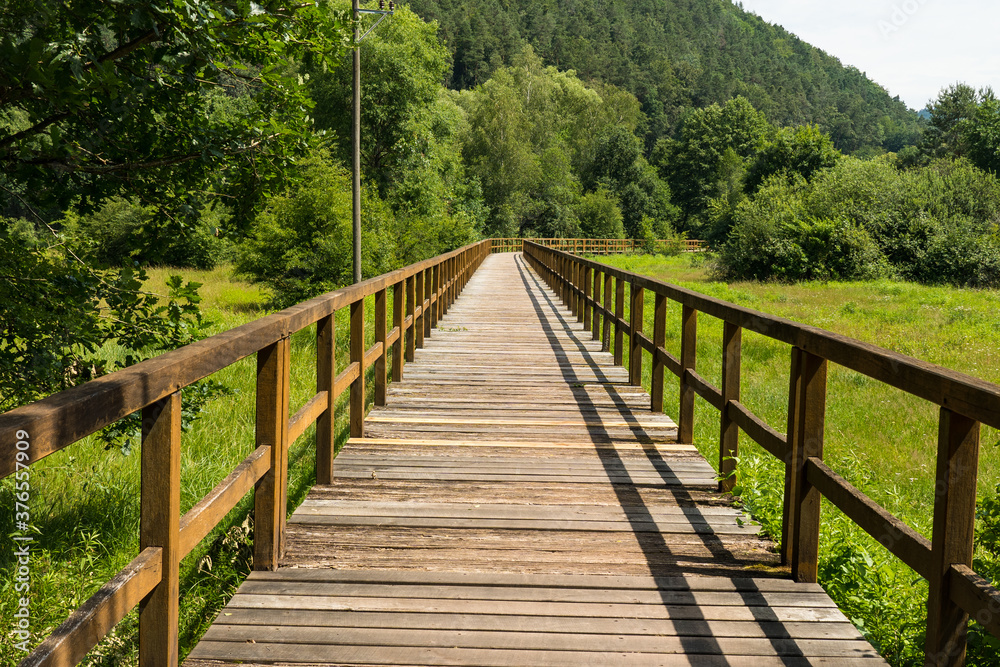 wooden bridge in the Southwest Palatinate forest, wasgausee, schönau fischbach, germany