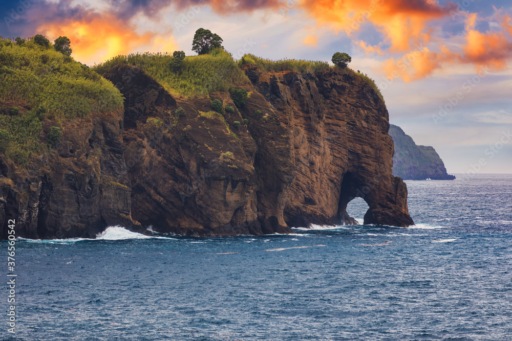 Naklejka premium Elephant trunk figure by the sea, San Miguel Island, Azores, Portugal. Close up of elephant trunk figure, Azores, Portugal.
