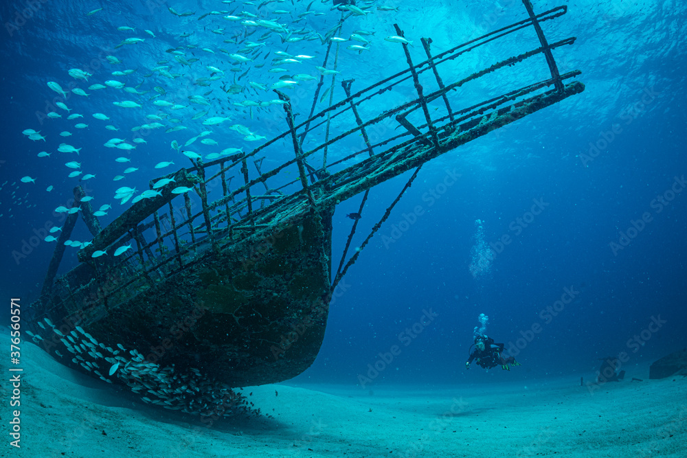Diver on wrecks in Sint Maarten - obrazy, fototapety, plakaty 