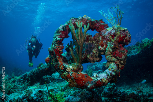 Anchor of HMS Proselyte on the reef at Sint Maarten