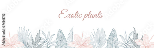 Tropical flowers border pattern in sketch style on white background. Background with hibiscus, protea, magnolia, palm leaves.