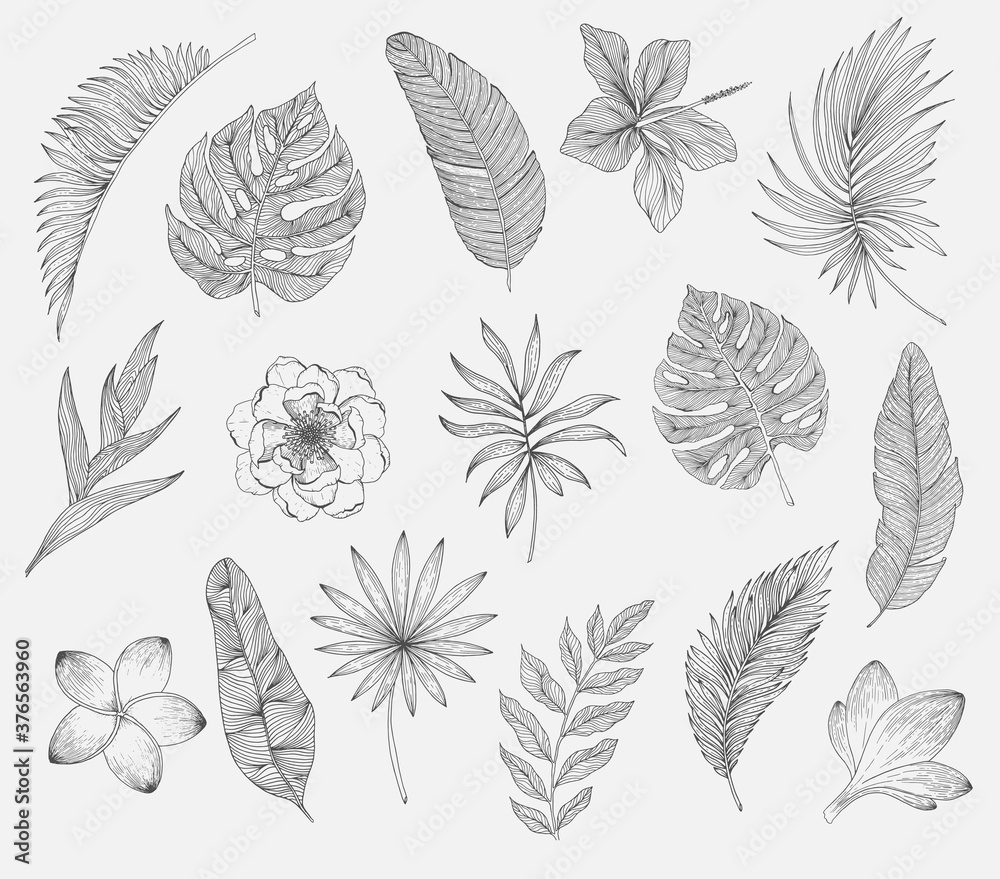 Set of tropical leaves and flowers. Plants isolated on white background - obrazy, fototapety, plakaty 