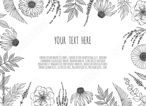 Floral backgrounds with hand drawn herbs and wildflowers. Monochrome vector illustration in sketch style.
