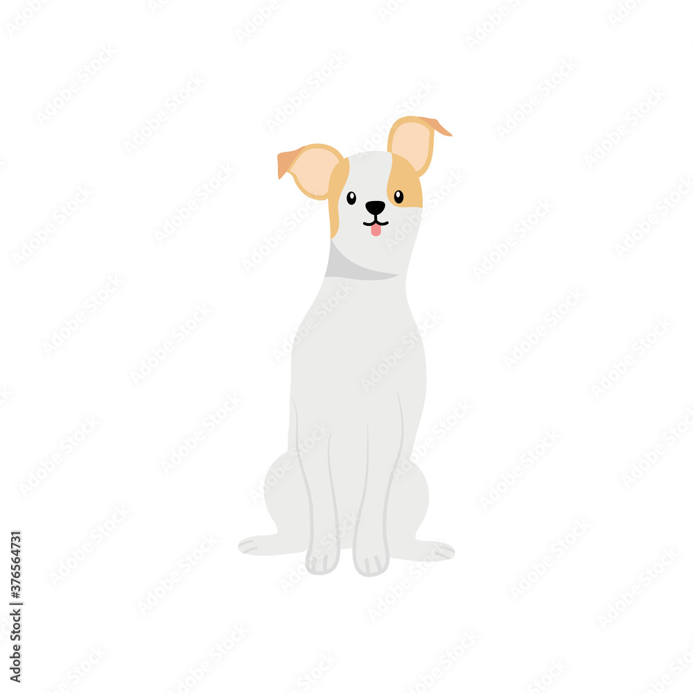 jack russell dog icon, flat style