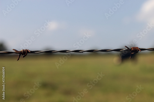 Fence wire