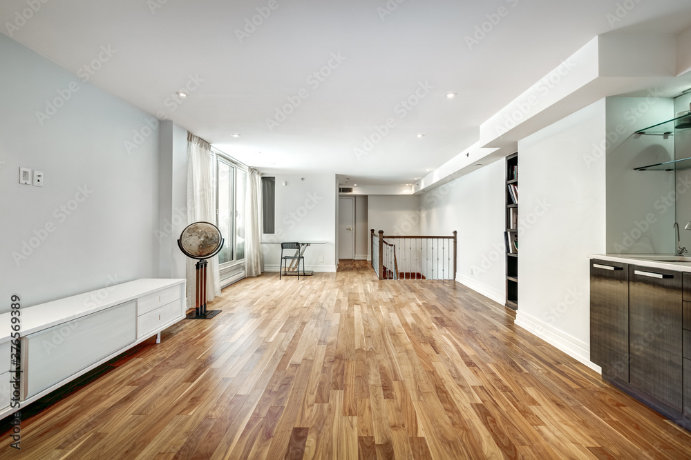 Luxury Apartment in downtown of Montreal