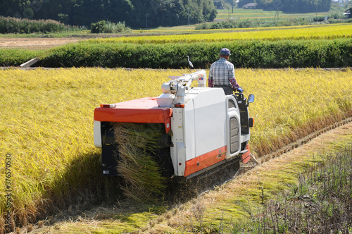 コンバインによる稲刈り風景