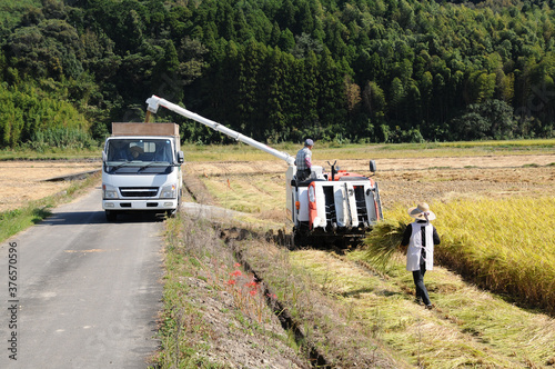 コンバインによる稲刈り風景