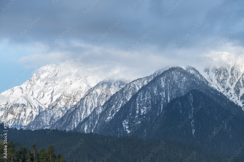 snow mountains and forests